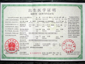 Certified Translation of Birth Certificate in Shanghai